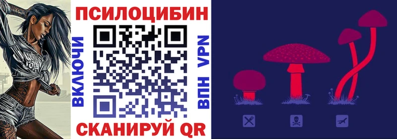 хочу   Хасавюрт  Галлюциногенные грибы ЛСД 